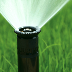 Grass sprinkler